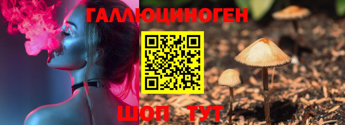 Сорочинск  Галлюциногенные грибы MAGIC MUSHROOMS  Псилоцибиновые грибы GOLDEN TEACHER  Вход с VPN 